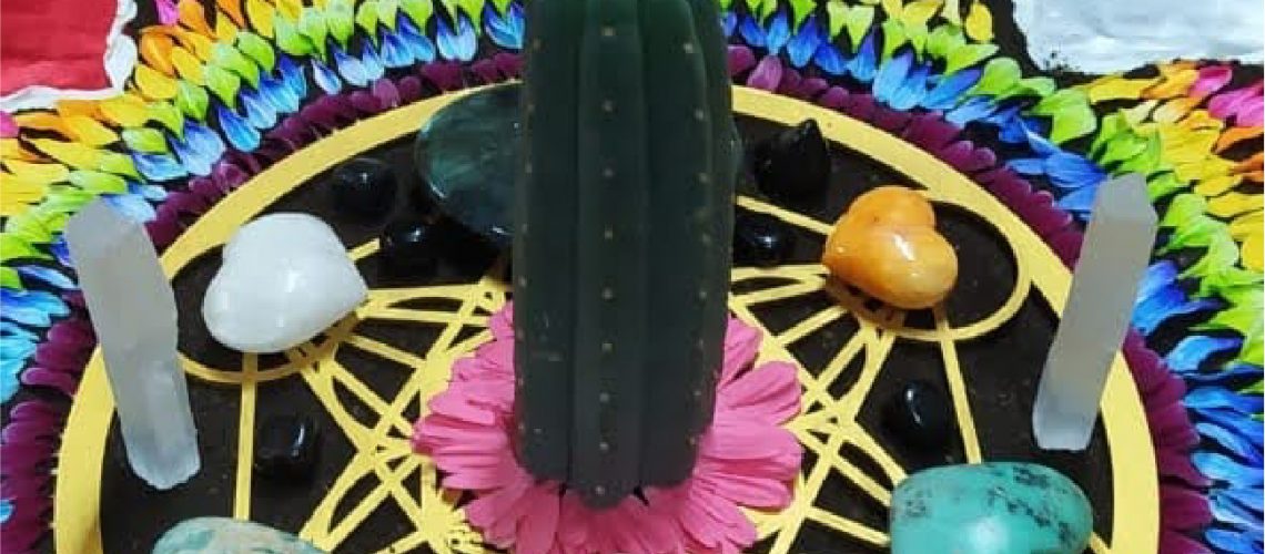 aguacoya-chakana